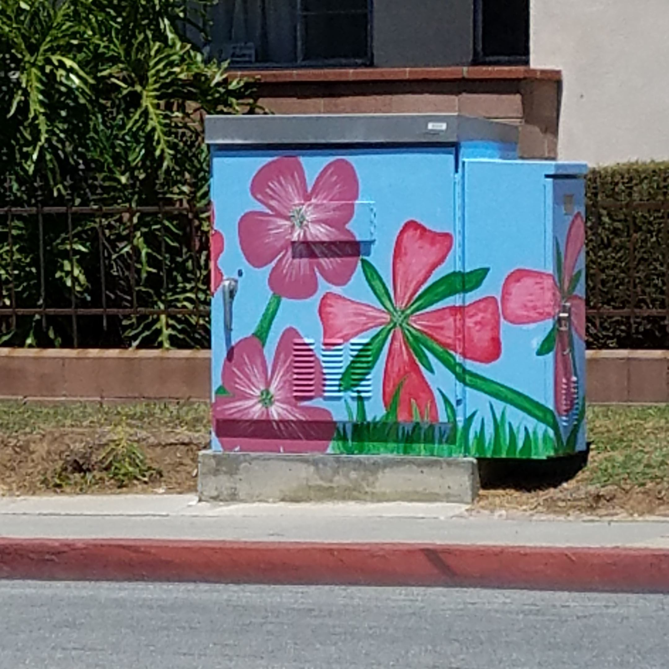 Electrical box Beautification project by Macy Intermediate students at Elmgate and Garfield May 2017