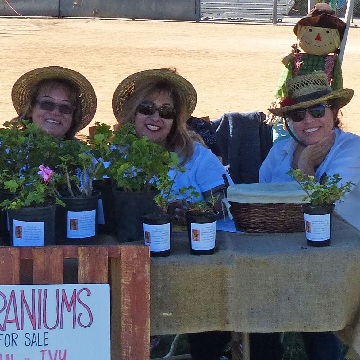 Geranium Festival 2016 (503) 1x1 v2