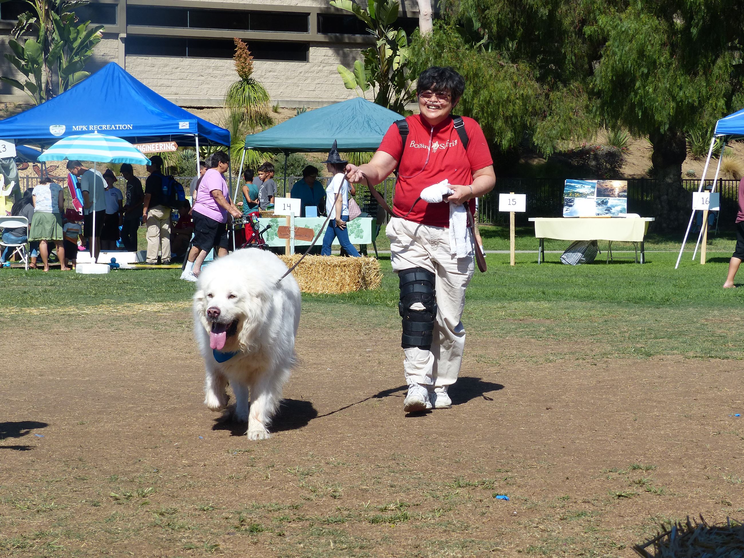 Geranium Festival 2016 (578)