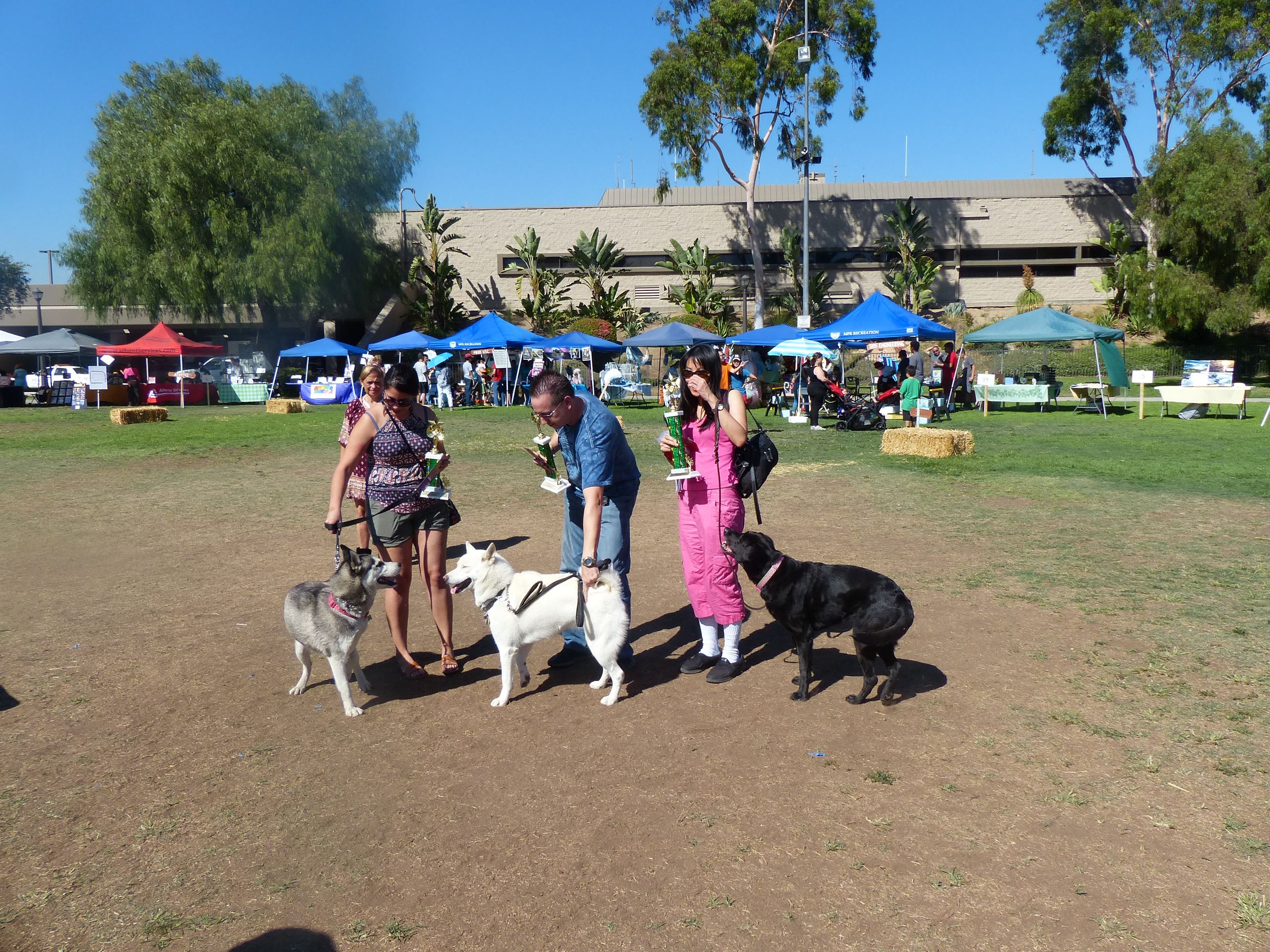 Geranium Festival 2016 (586)