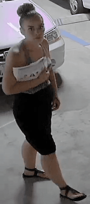 Commercial Burglary Suspect