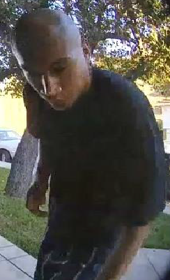 Package Theft Suspect