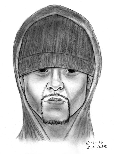 800-block-W-Repetto-Dr-MPK-assault-suspect-sketch-20161222.jpg